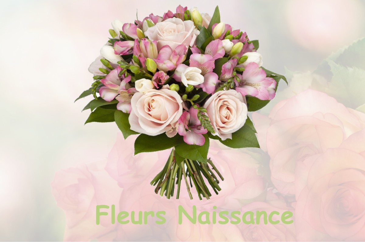 fleurs naissance DAMLOUP