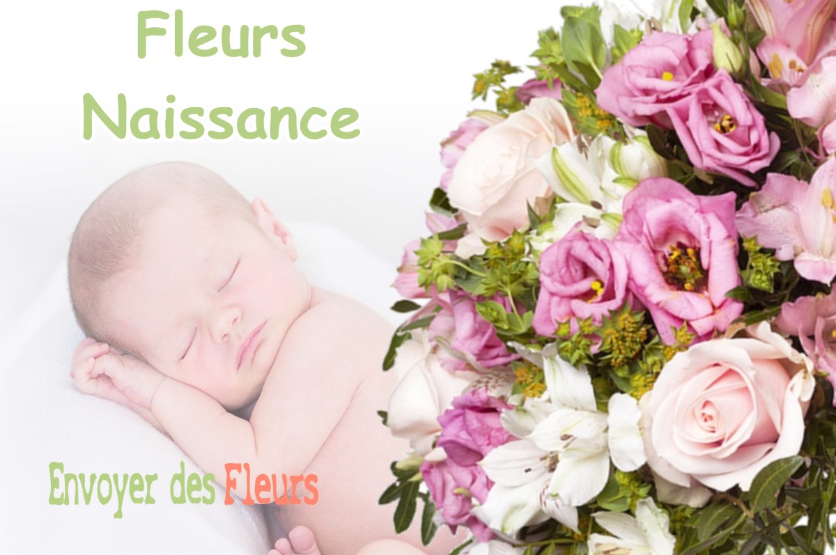 lIVRAISON FLEURS NAISSANCE à DAMLOUP